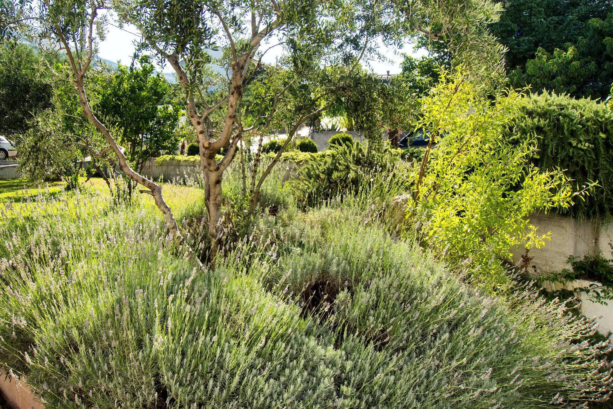 Villa Lavanda Podstrana Extérieur photo