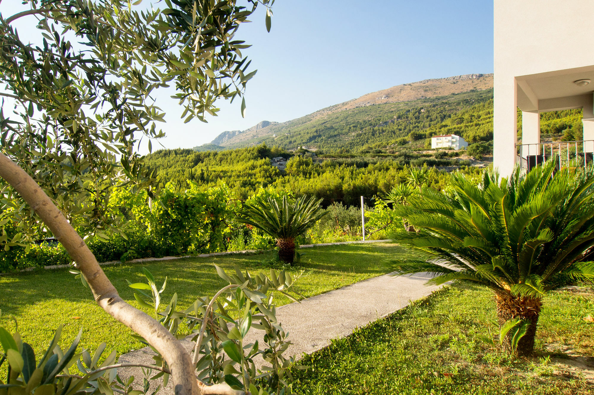 Villa Lavanda Podstrana Extérieur photo
